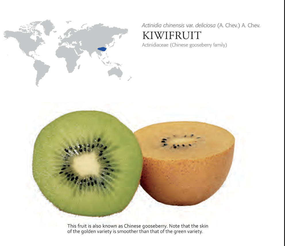 200+ Unique Fruits Images